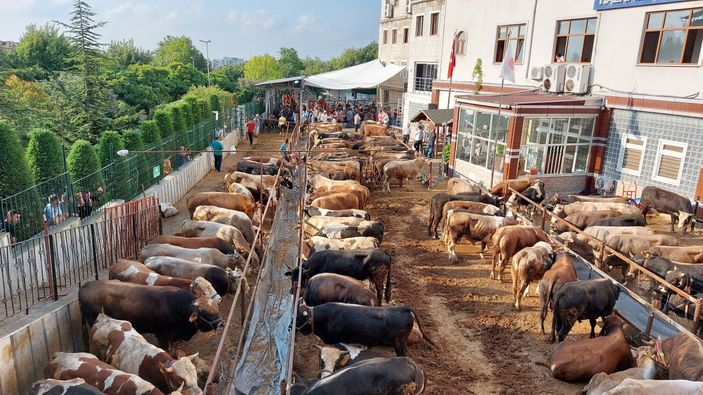 İstanbul'daki vatandaşlar kurbanlık kesimlerine başladı