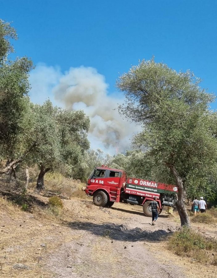 Bodrum’da orman yangını: 7 uçak müdahale etti