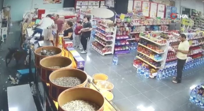 Ankara’da sahibinin elinden kurtulan köpek marketi birbirine kattı
