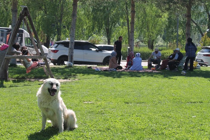 Bayburt'ta bayramın son günü piknik alanlarına akın ettiler