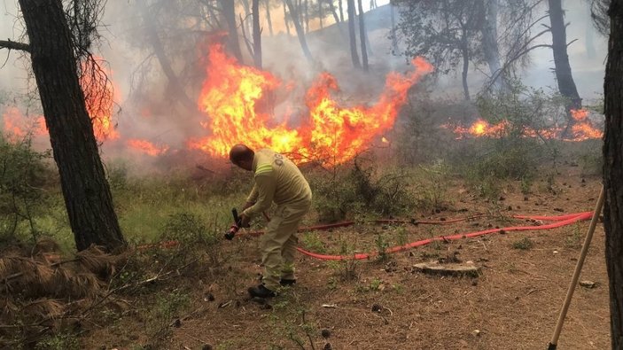 Edirne'de çıkan orman yangını söndürüldü