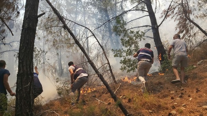 Datça'da ormanlık alanda yangın çıktı