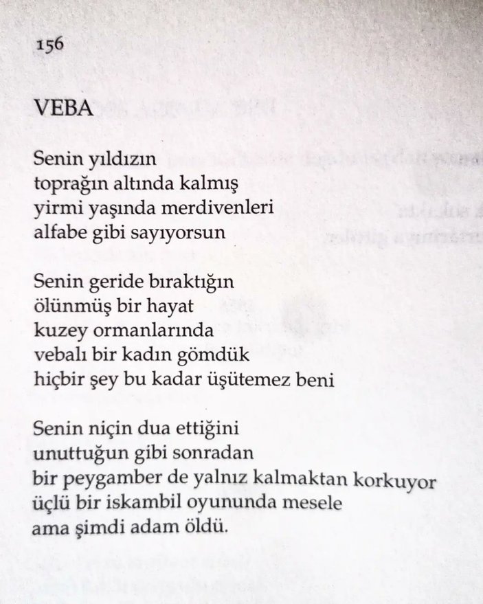 Türk edebiyatında ve şiirinde bir Ece Ayhan geçti