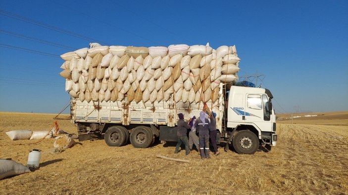 Diyarbakır'da ay ışığında çalışan işçilerinin günlüğü 500 TL