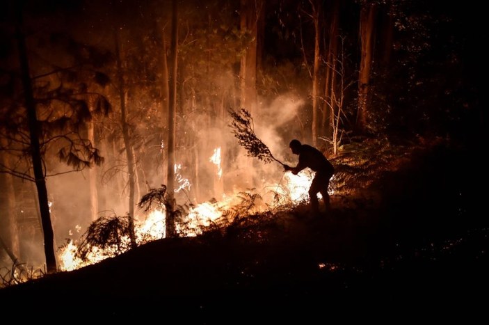 Portekiz ve İspanya'da orman yangını alarmı