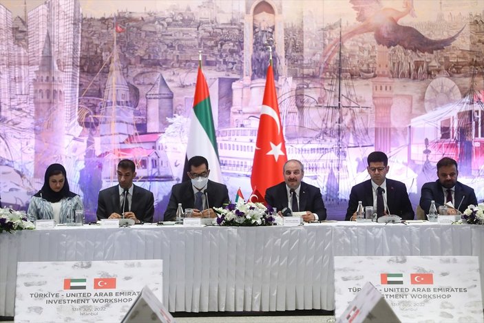 BAE'den Türkiye'ye 10 milyar dolarlık yatırım bütçesi