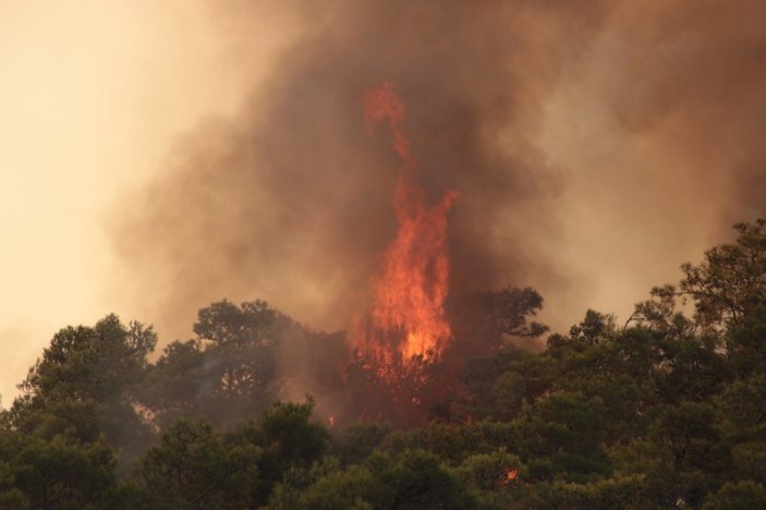 Meteoroloji’den Muğla’ya orman yangını uyarısı