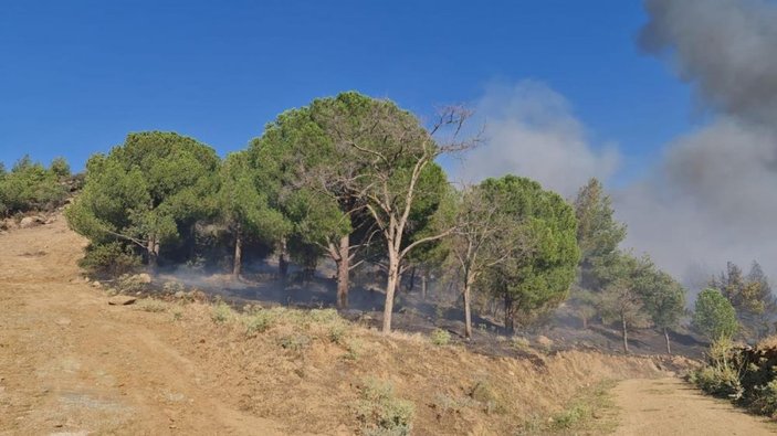 Aydın’da orman yangınına havadan ve karadan müdahale