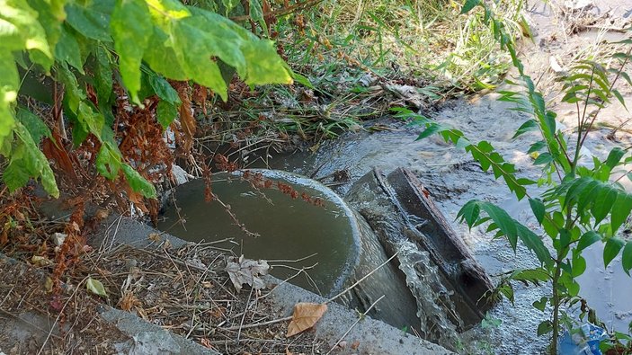 Florya'da kanalizasyondaki kirli su denize aktı