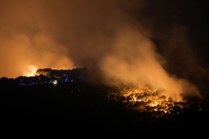 Aşırı sıcaklar, Avrupa ve ABD'de orman yangınlarını tetikledi