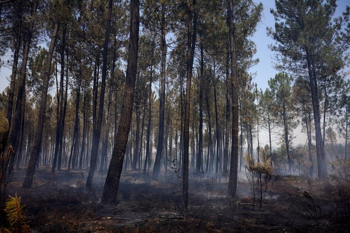 Fransa'da orman yangınlarına müdahale, tartışmaya yol açtı