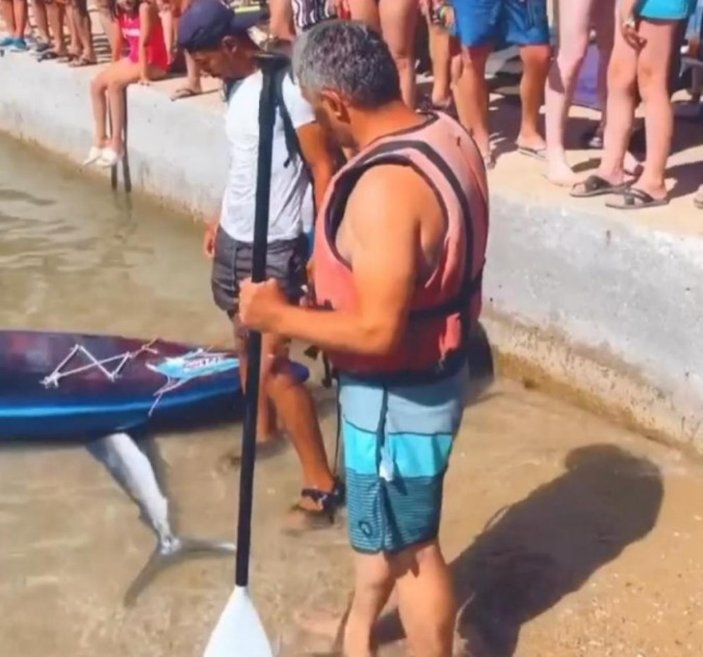 Marmaris'te bir kişi sahilde gördüğü balığı eliyle yakaladı