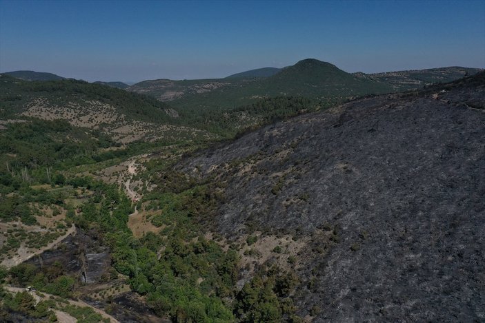 Balıkesir'deki yangında 50 hektarlık alan zarar gördü