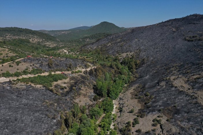Balıkesir'deki yangında 50 hektarlık alan zarar gördü