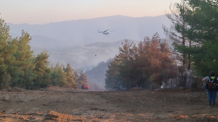 Aydın'daki orman yangınında 30 hektar kül oldu