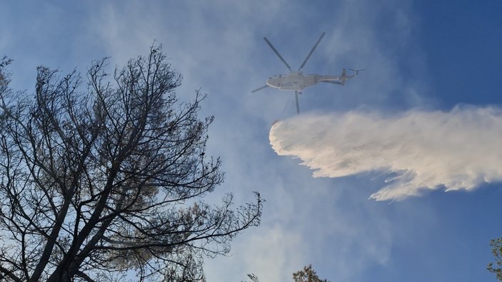 Aydın'daki orman yangınında 30 hektar kül oldu