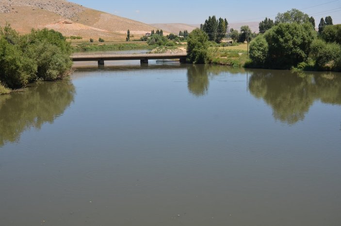 Ceyhan Nehri'nde atık sorunu: Balıklar telef oldu
