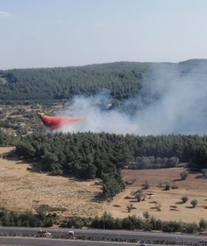 İzmir Buca'da ormanlık alanda yangın