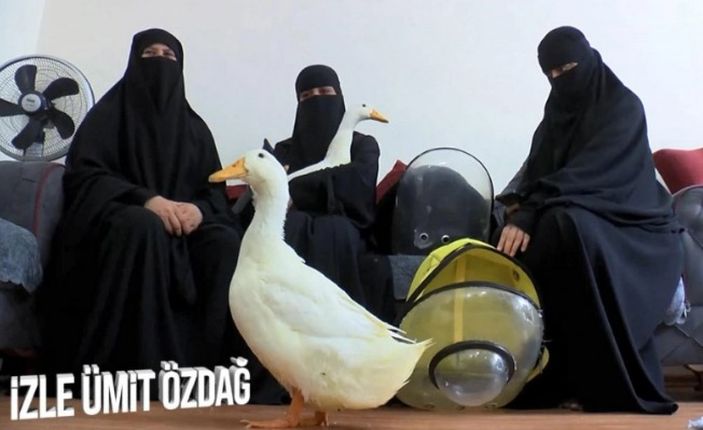 Başakşehir'de gölete bırakılmak istenen ördekler koruma altına alındı