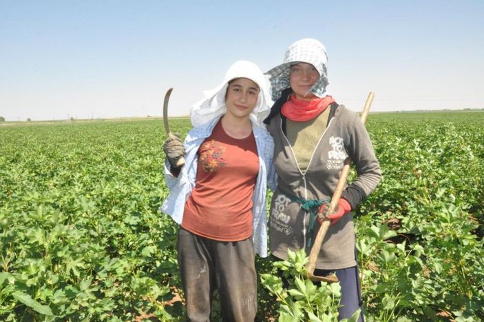 Mardin'de 45 derece sıcaklıkta çalışan öğrenciler: Herkes tatilde biz çalışıyoruz