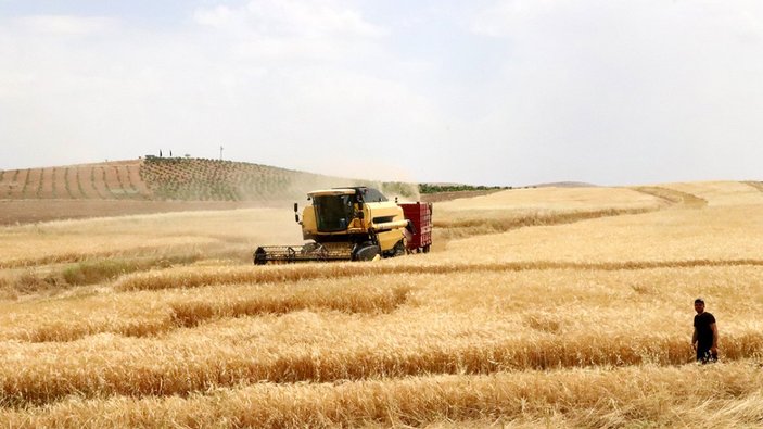 Türkiye'nin çözdüğü tahıl krizinin ciddi boyutu