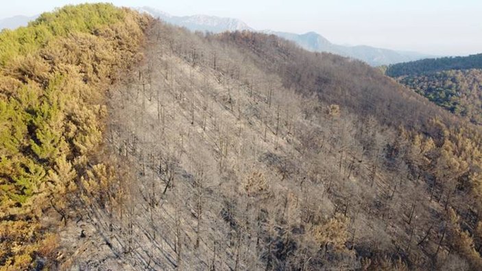 İçişleri Bakanlığı'ndan orman yangınlarına karşı genelge