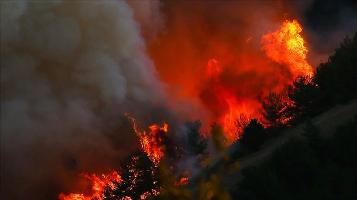 İçişleri Bakanlığı'ndan orman yangınlarına karşı genelge