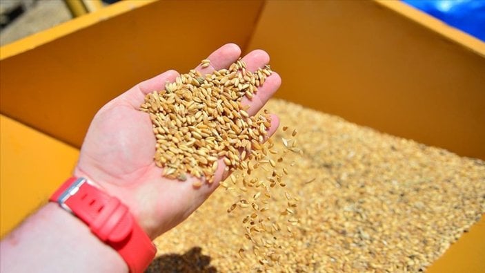 Buğday ve arpa üreticilerine destek ödemesi yapılacak