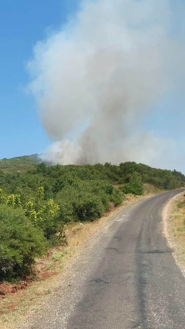 Tekirdağ'da makilik yangını