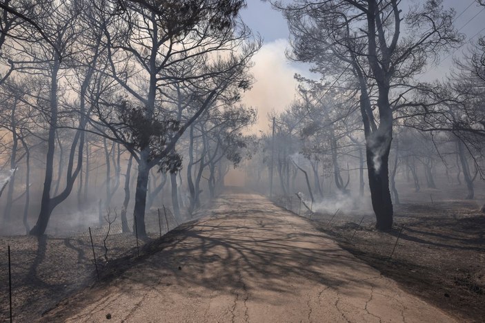 Yunanistan’da ormanlar yanıyor: Felakette ikinci gün