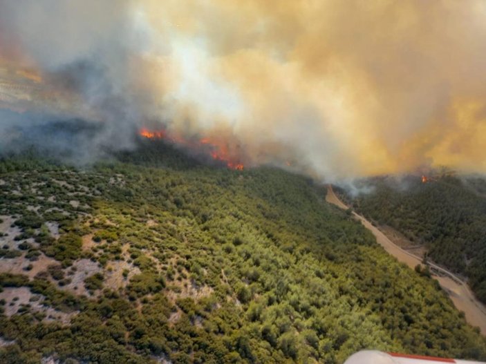 Manisa'da otluk alanda çıkan yangın ormana sıçradı