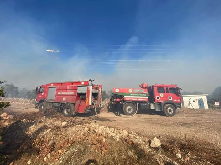 i Milas’ta yangın kontrol altına alınırken 4 hektarlık alan kül oldu