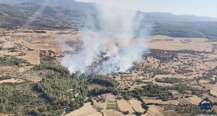 Milas'ta orman ve makilik alanda yangını çıktı