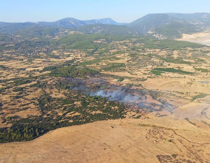 i Milas’ta yangın kontrol altına alınırken 4 hektarlık alan kül oldu