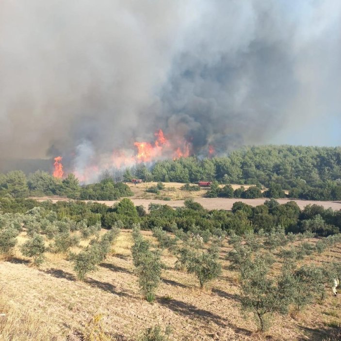 Manisa'da orman yangını: 20 ev boşaltıldı