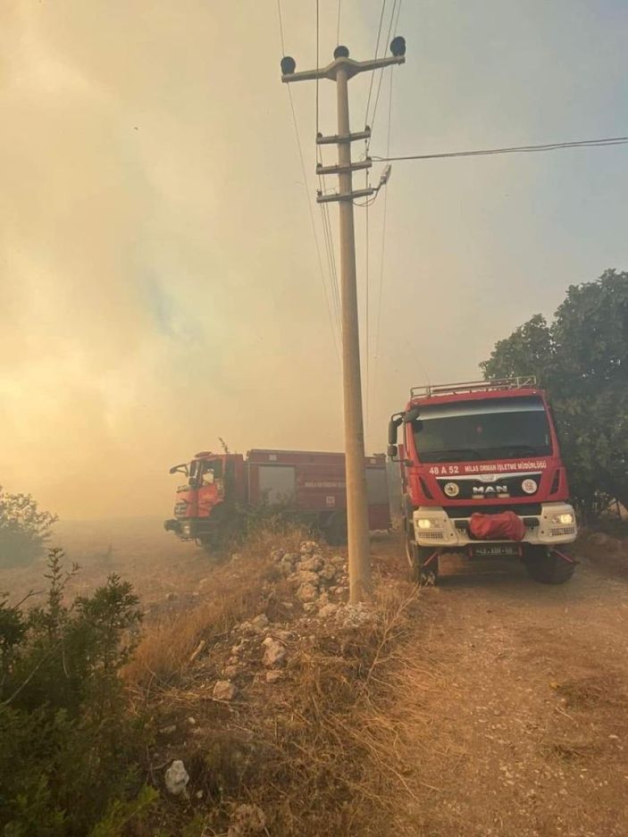 i Milas’ta yangın kontrol altına alınırken 4 hektarlık alan kül oldu