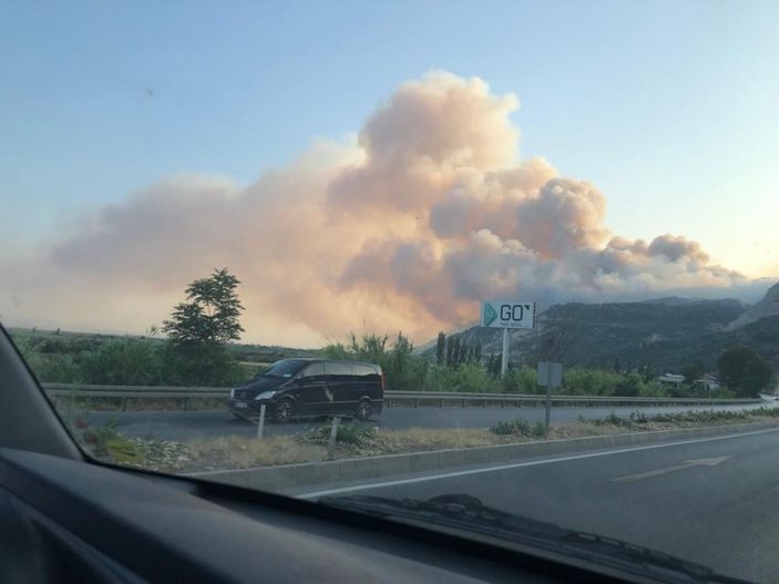 Aydın'ın Söke ilçesinde orman yangını