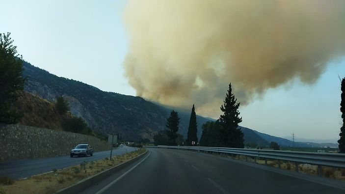 Aydın'ın Söke ilçesinde orman yangını