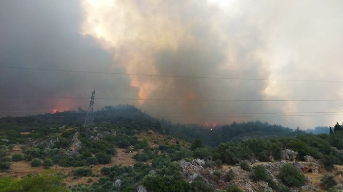 Aydın'ın Söke ilçesinde orman yangını