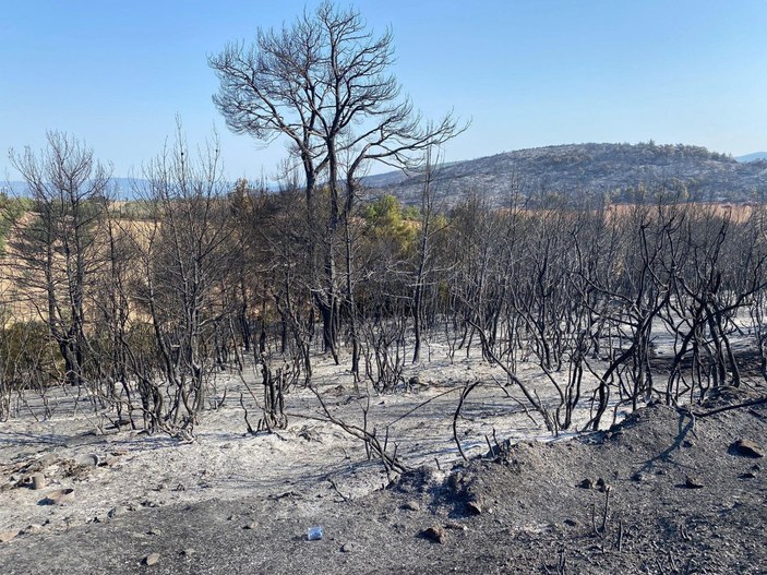 Manisa’daki orman yangını 13,5 saat sonra kontrol altında