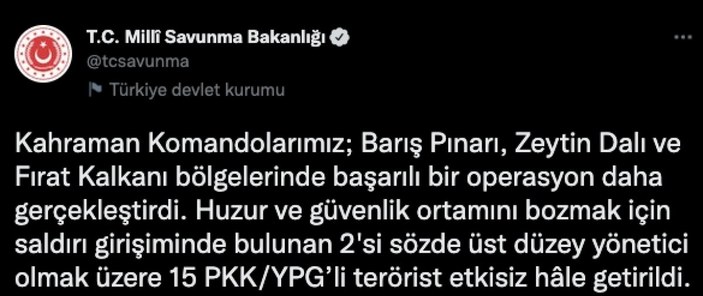 TSK'dan PKK'ya ağır darbe: 15 terörist leş edildi