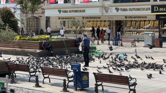 i İstanbul'da bir polis memuru, güvercinleri ekmek kırıntıları ile besliyor