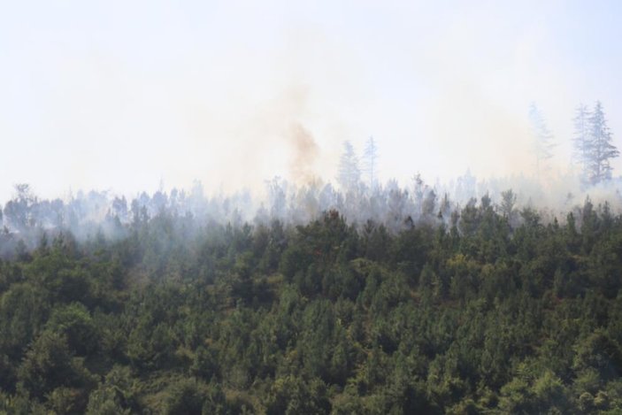 Sakarya'da ormanlık alanda yangın çıktı