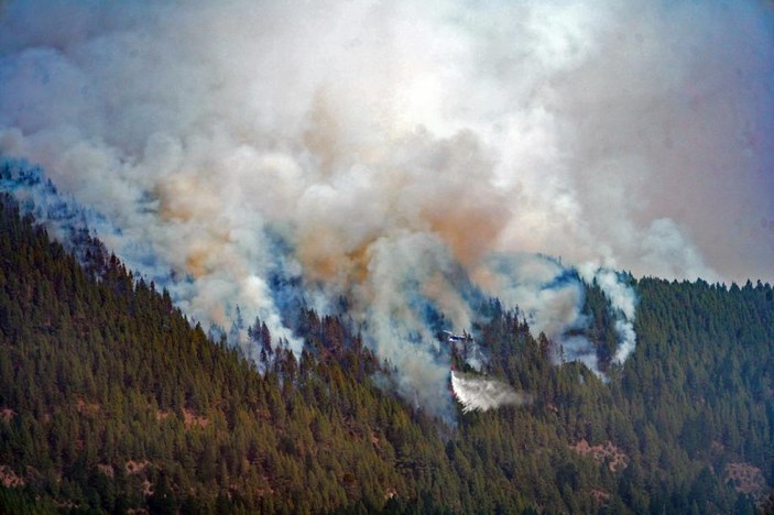 İspanya’da çıkan orman yangınları söndürülemiyor