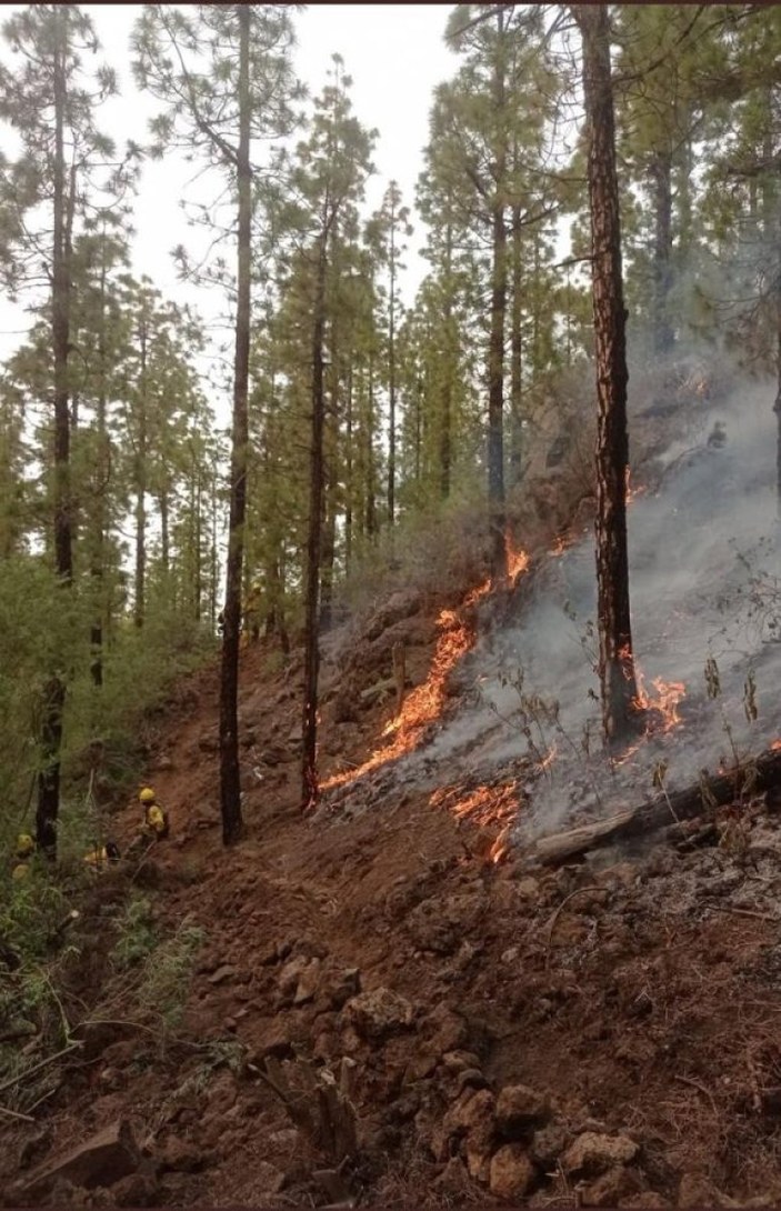 İspanya’da çıkan orman yangınları söndürülemiyor