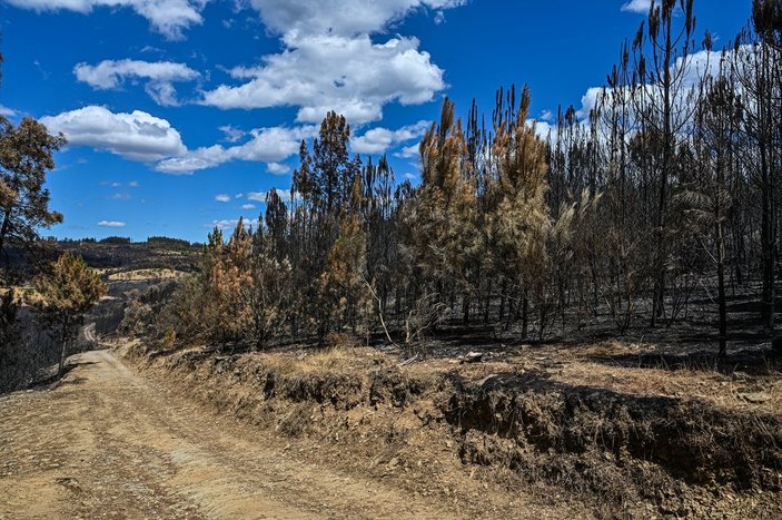 Orman yangınlarının ardından Portekiz'de son durum