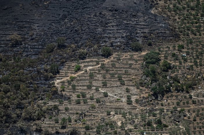 Orman yangınlarının ardından Portekiz'de son durum