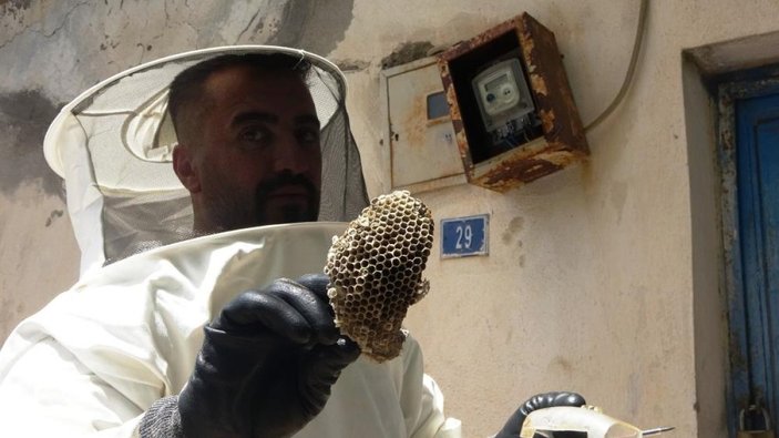 Bitlis'te elektrik arıza ekipleri arılar yüzünden arıcı tulumu giyiyor