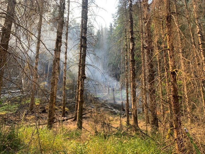 Çekya'daki orman yangınında bin hektarlık alan küle döndü
