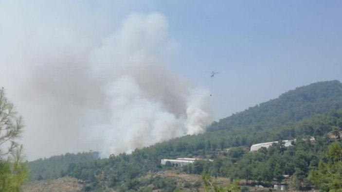 Türkiye'nin 3 ayrı bölgesinde orman yangını